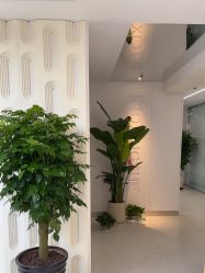 -魔型社烫染店