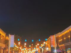 -鼎盛王朝康熙大典实景演出