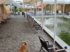 -DGE季风钓虾营地·团建·聚会
