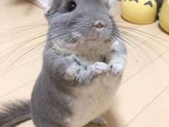 -海底捞火锅(振华商厦店)