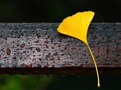 -简朴寨(湘隆时代店)