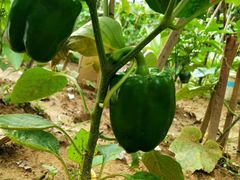 -顺风山庄(水濂山店)