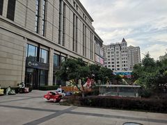 -眉州东坡(远洋未来广场店)
