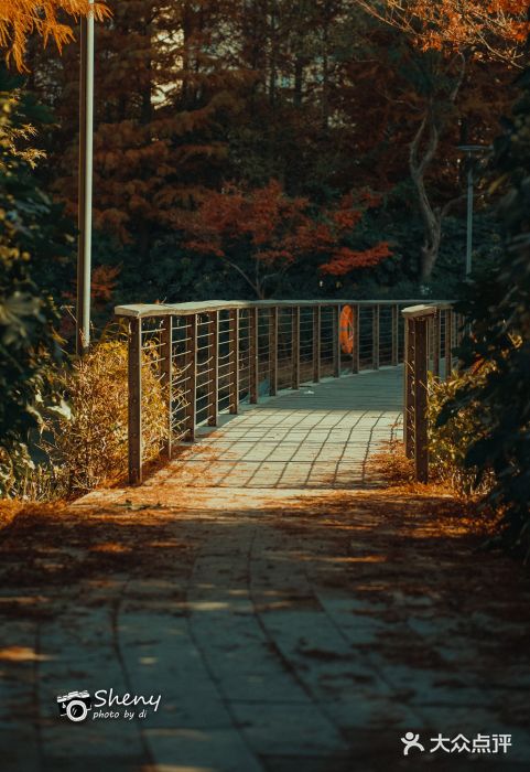 诺贝尔湖公园图片