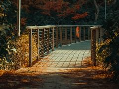 -诺贝尔湖公园