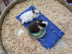 -万达广场(临港店)