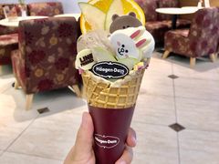 -哈根达斯(石家庄北国店)