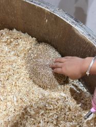 -Zoolung Zoolung动物主题公园(海信广场店)