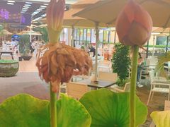 -813芭依珊 BAESAn(皇冠十畝地店)