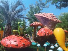 -苏州乐园森林水世界