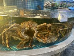 -大众海鲜(巨龙北路店)