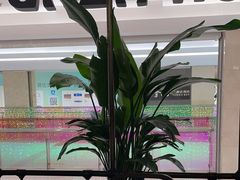 -旺顺阁鱼头泡饼(常营店)