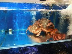 -盒马鲜生(悠方店)