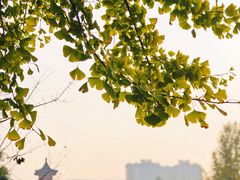 -四川大学(华西校区)