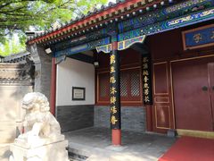 -北京市府学胡同小学