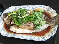 -大班家政月嫂育儿嫂(广州NO.1店)