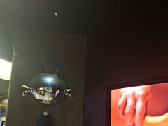 -梵猫·新养生(加州广场店)
