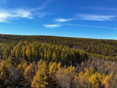 -塞罕坝国家级自然保护区