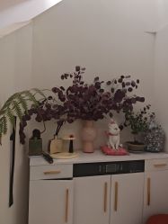 -WENDY·温迪皮肤管理