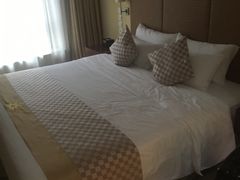 -电谷雅阁国际大酒店