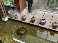 -几荷·恰似故人来(秀水广场店)