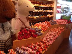 -济州岛泰迪熊博物馆