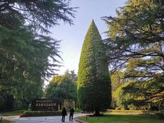 -宋庆龄陵园
