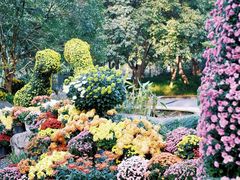 -杭州植物园