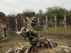 -南昌动物园