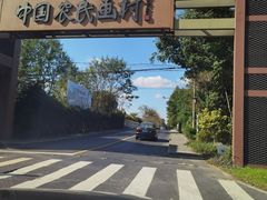 -金山农民画村-枫泾波兰倒置屋