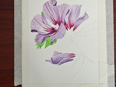 -八哥美术·成人美术画室(总校区)