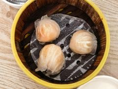 -杨记杏仁茶(椰园店)