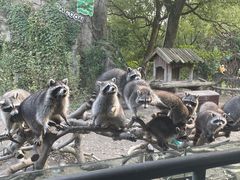 -宁波野生动物园