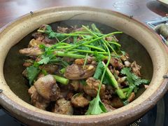 -华仔土鸡店(南洲分店)
