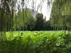 -包公祠