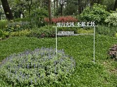-云溪植物园