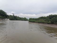 -东寨港红树林旅游区