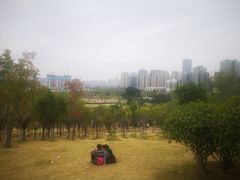 -牛岗山公园