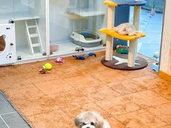 -萌兽医馆·眼科·异宠专科(三里屯店)