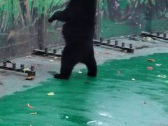 -西安秦岭野生动物园