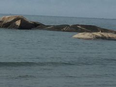 -那琴半岛地质海洋公园