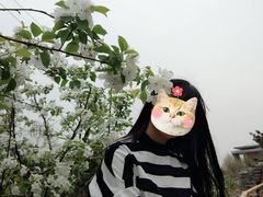 -河南财经政法大学(郑东校区)