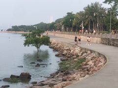 -深圳湾公园(南山区)