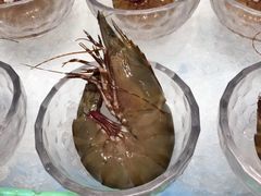 -半岛翡丽海鲜自助餐厅(观风亭店)