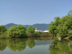 -长兴太湖图影湿地文化园