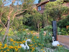 -杭州开元森泊度假乐园