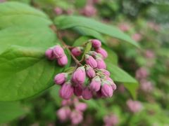 -共青国家森林公园-南大门停车场