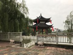 -溱湖国家湿地公园