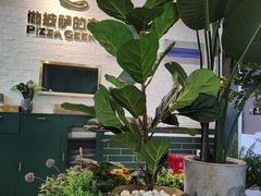 -做披萨的奇葩(中海央墅店)