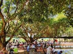 -侯臣咖啡文化村